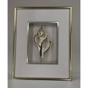 Cross Cut Section Of A Seashell In An 8x10 Frame